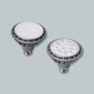LED PAR30 램프(확산형/집중형)